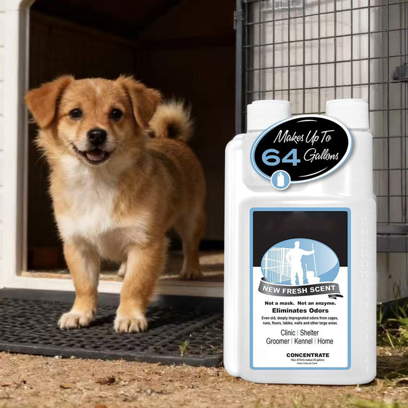 🔥Limited-time offer-Pet Odor Eliminator Concentrate