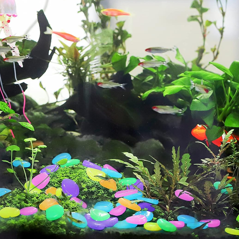 🥳2026 HOT SALE🥳💞50K+ SOLD!🌈🌙 50% OFF! 1000PCS Glow-in-Dark Pebbles – Vibrant multicolor, eco-friendly resin. Safe for kids & pets. Transform your garden into a starry night sky. A enchanting gift. 🎁🕊️