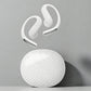 Ear-Hook Wireless Bluetooth  Earphones
