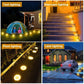 🔥Limited-time offer-Solar-powered garden lights: light up your garden without paying a penny for electricity