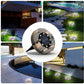 🔥Limited-time offer-Solar-powered garden lights: light up your garden without paying a penny for electricity