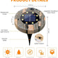 🔥Limited-time offer-Solar-powered garden lights: light up your garden without paying a penny for electricity