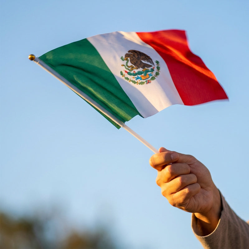 Ultimate Mexico Match Cheer Kit