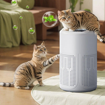 🌬️ 60% OFF! 🔥 Compact home air purifier – 2026 bestseller – Quiet, energy-efficient, and perfect for allergy sufferers, dust, and pet hair 🏠