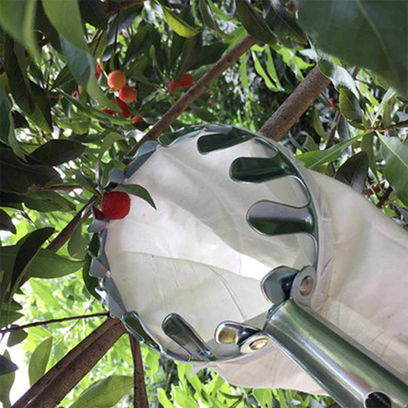 🍎 50% OFF NOW! 🧺 Fruit Picker Head Basket – Durable Design, Easy Attach & Perfect for Reaching High Branches Without a Ladder 🌳