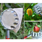 🍎 50% OFF NOW! 🧺 Fruit Picker Head Basket – Durable Design, Easy Attach & Perfect for Reaching High Branches Without a Ladder 🌳