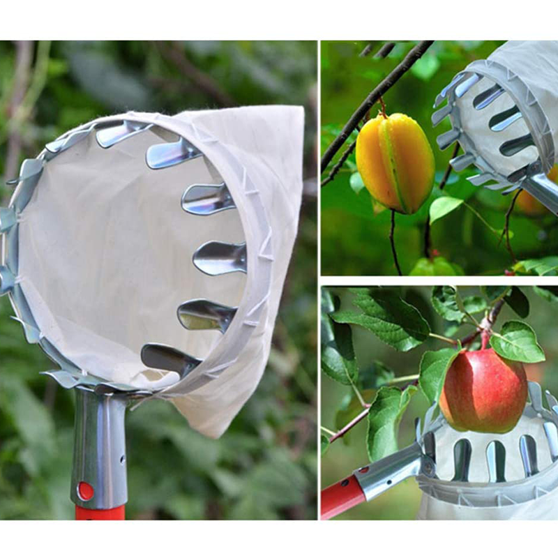 🍎 50% OFF NOW! 🧺 Fruit Picker Head Basket – Durable Design, Easy Attach & Perfect for Reaching High Branches Without a Ladder 🌳