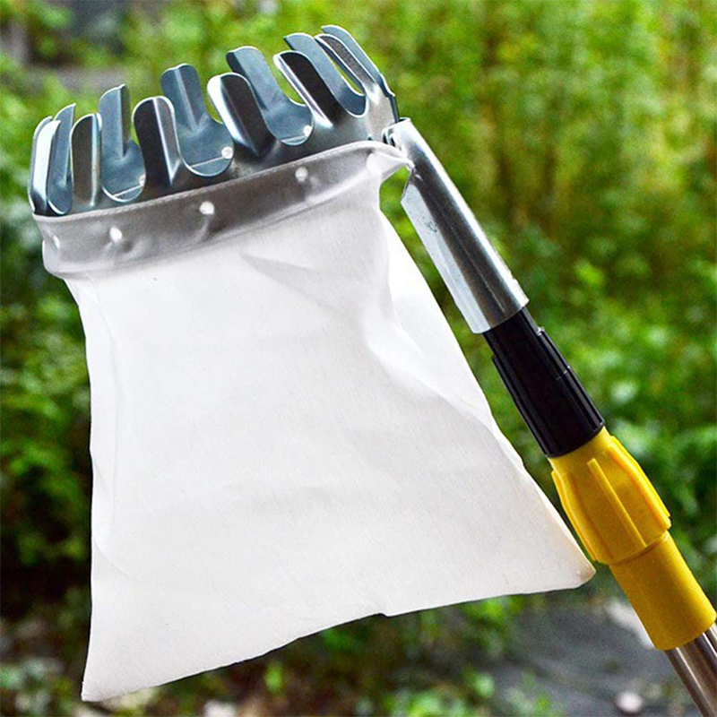 🍎 50% OFF NOW! 🧺 Fruit Picker Head Basket – Durable Design, Easy Attach & Perfect for Reaching High Branches Without a Ladder 🌳