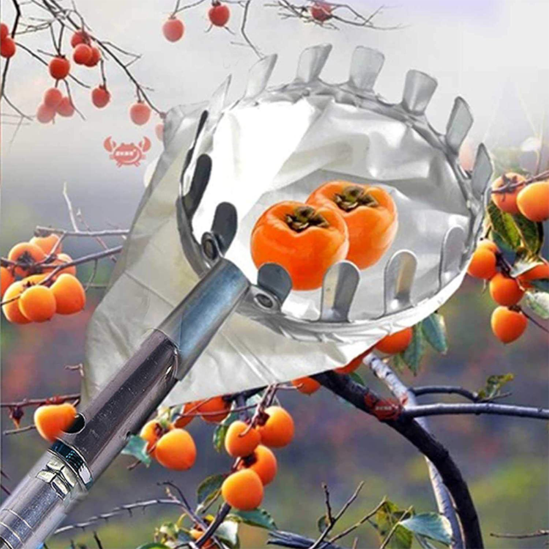 🍎 50% OFF NOW! 🧺 Fruit Picker Head Basket – Durable Design, Easy Attach & Perfect for Reaching High Branches Without a Ladder 🌳