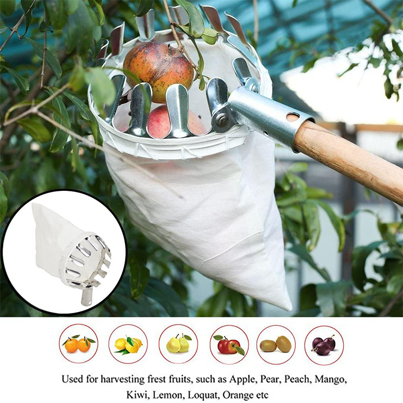 🍎 50% OFF NOW! 🧺 Fruit Picker Head Basket – Durable Design, Easy Attach & Perfect for Reaching High Branches Without a Ladder 🌳
