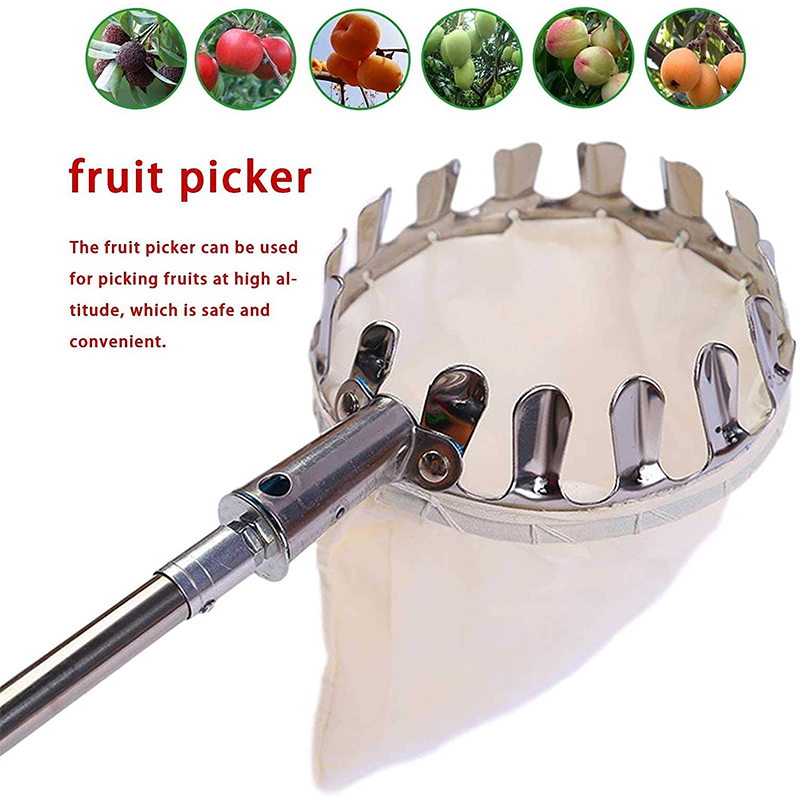 🍎 50% OFF NOW! 🧺 Fruit Picker Head Basket – Durable Design, Easy Attach & Perfect for Reaching High Branches Without a Ladder 🌳