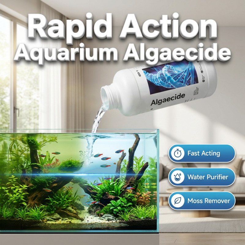 🏆LAST DAY SALE 50% OFF🔥Rapid Action Algae Remover for Aquariums