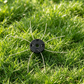 ⏰🔥LIMITED TIME 50% OFF! ⚡Heavy-Duty Steel Wire Weed Eater Head