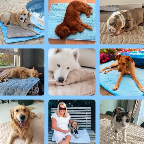 ⏳🔥LIMITED-TIME 50% OFF! 🐶 Dog Cooling Mat – 4x More Effective Cooling for Hot Summer Days ❄️✨