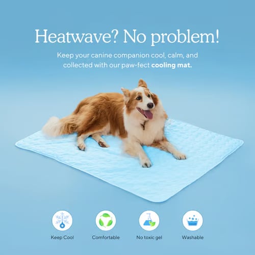 ⏳🔥LIMITED-TIME 50% OFF! 🐶 Dog Cooling Mat – 4x More Effective Cooling for Hot Summer Days ❄️✨