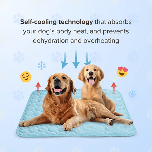 ⏳🔥LIMITED-TIME 50% OFF! 🐶 Dog Cooling Mat – 4x More Effective Cooling for Hot Summer Days ❄️✨
