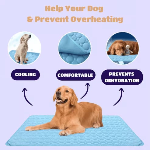 ⏳🔥LIMITED-TIME 50% OFF! 🐶 Dog Cooling Mat – 4x More Effective Cooling for Hot Summer Days ❄️✨