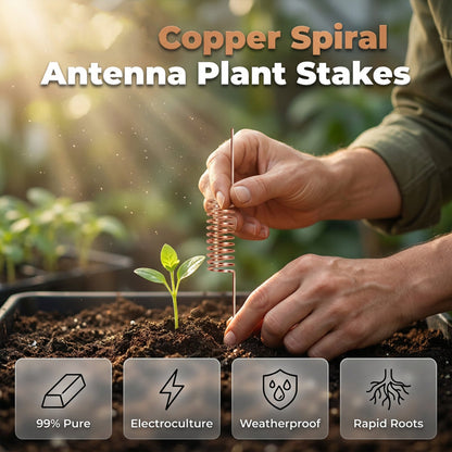 Copper Spiral Antenna Plant Stakes