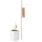 Copper Spiral Antenna Plant Stakes