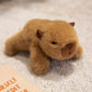 🧸 Last Day Special Price £9.78 ! 🧲 Lovely Plushie Fridge Magnet Doll – Premium Mink Velvet, Hidden Magnet, Perfect for Fridge, Laptop & Bags ✨