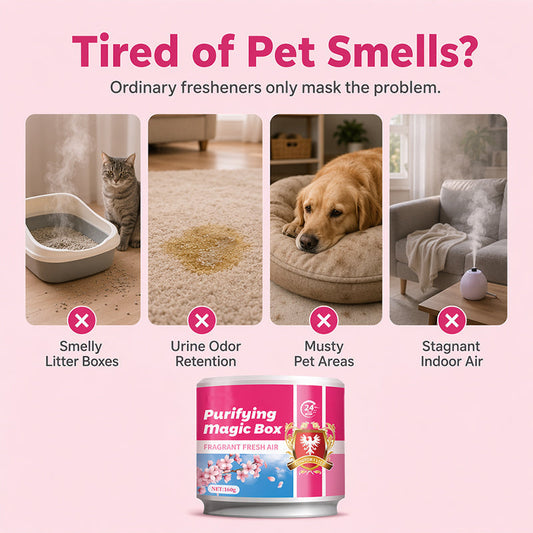 ⌛Limited-Time Offer-Pet Odor Eliminator Gel 160g Purifying Magic Box