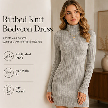 Women's Ribbed Turtleneck Long Sleeve Sweater Dress