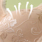 Women's Comfortable Front-Closure Wire-Free Seamless Bra