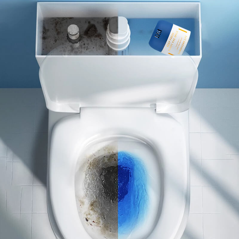 New Style Brush-Free Toilet Cleaning Bloc