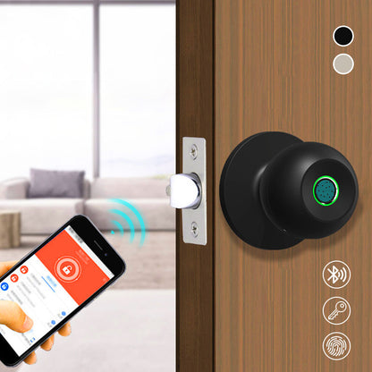 Free Shipping-Spherical Smart Combination Fingerprint Lock